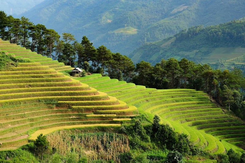 Eco-Tourism